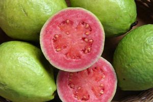 jambu biji